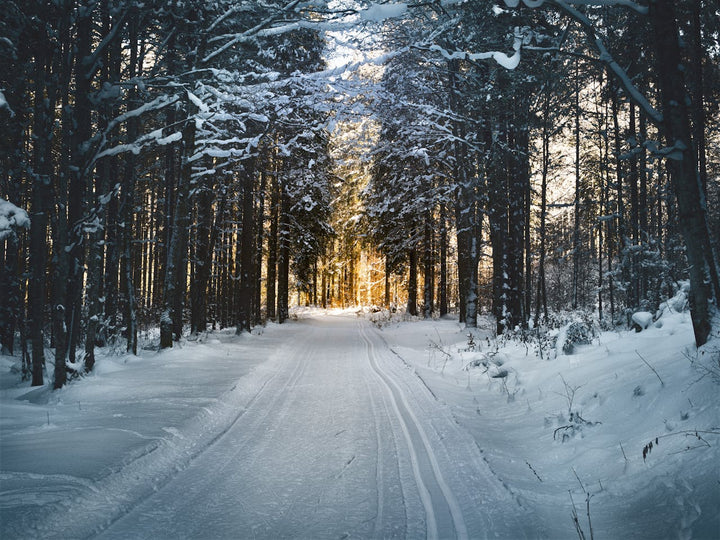 Comment renforcer ton immunité naturellement avant l’hiver