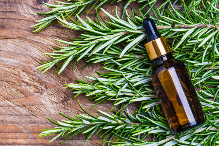 Comment utiliser le romarin pour les cheveux ?