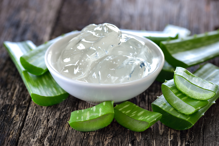 L'aloe vera avant ou après les repas : quel est le meilleur moment pour en consommer ?