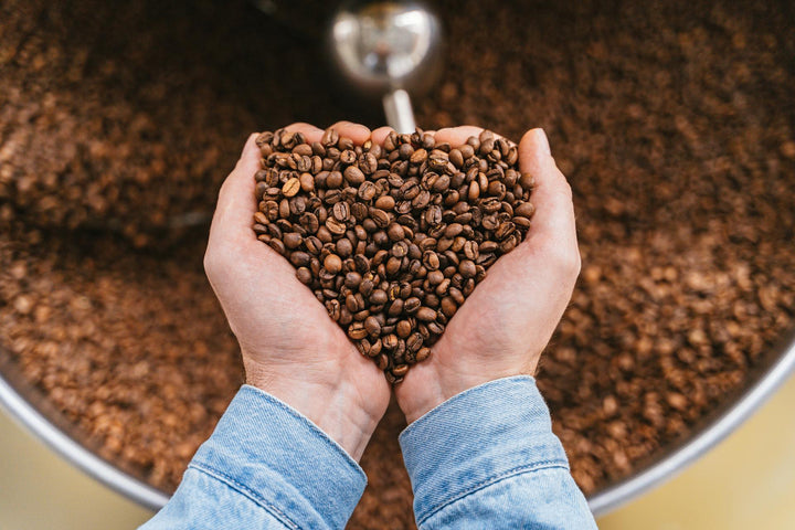 La chicorée  l’alternative au café qui prend soin de votre digestion
