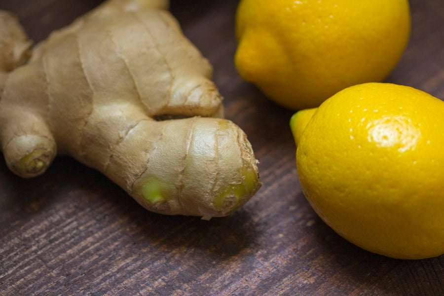 Le gingembre : racine tonique pour l’immunité, la digestion et l’énergie naturelle
