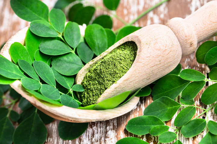 moringa c'est quoi