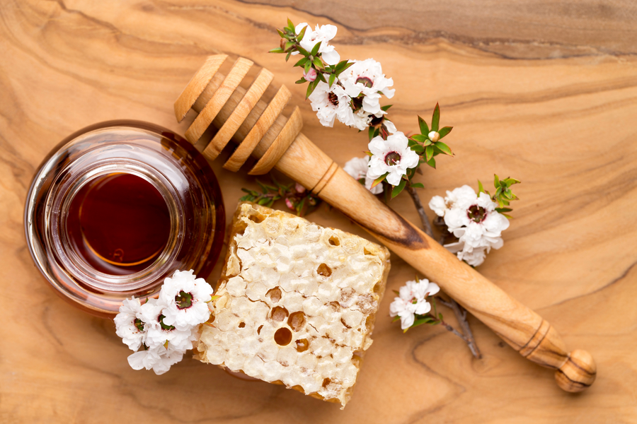 Miel de Manuka de Nouvelle-Zélande de haute qualité