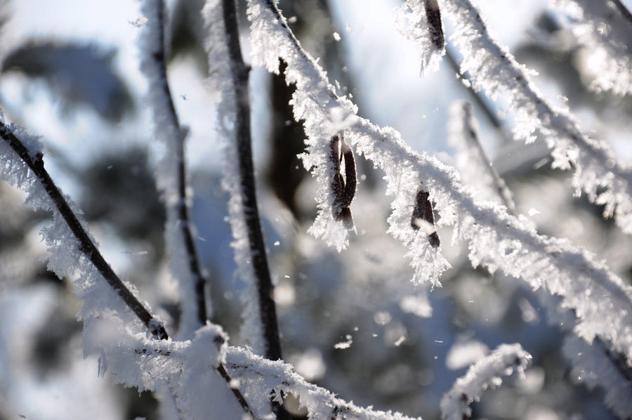Pourquoi tu as toujours froid (même quand les autres ont chaud) 