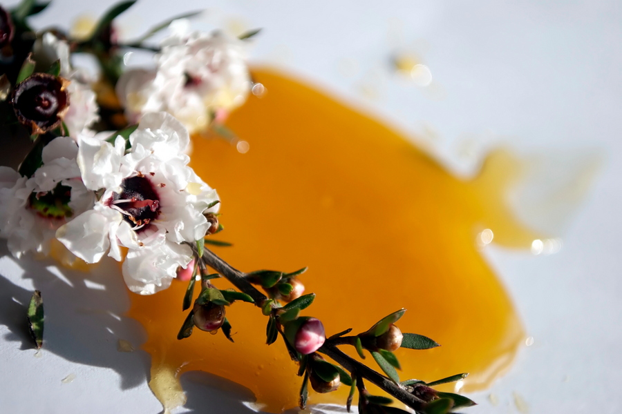 Miel de Manuka de Nouvelle-Zélande