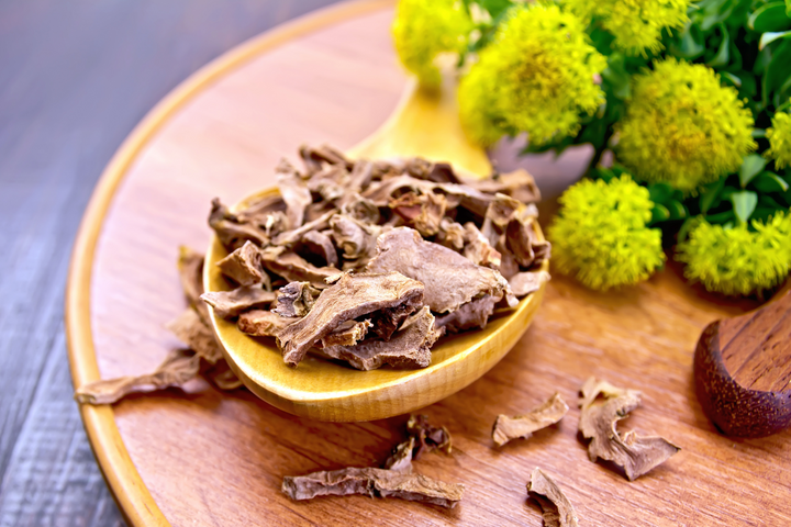 Rhodiola bienfait
