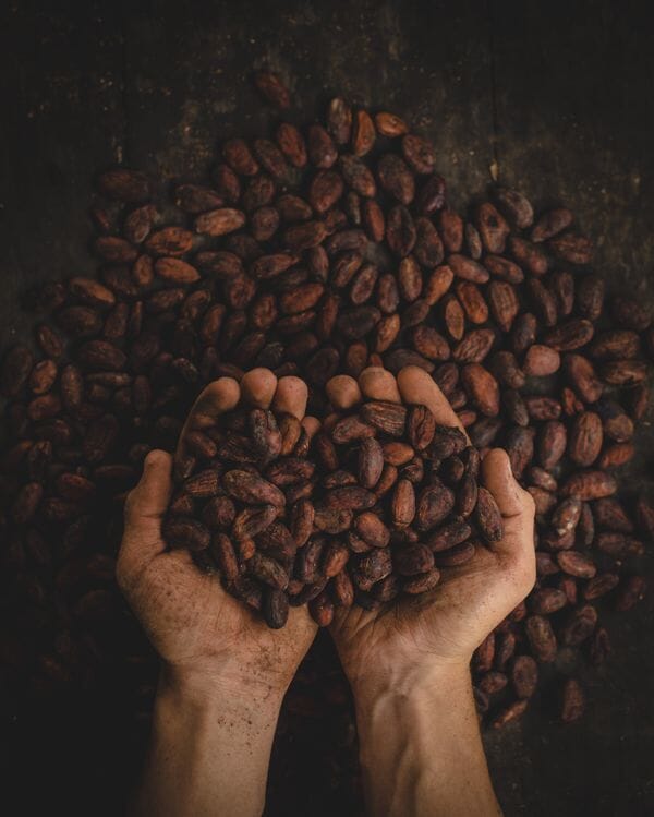 Comment le beurre de cacao peut-il agir sur la peau acnéique ?