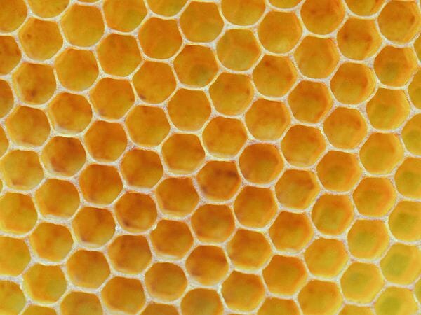 Les pouvoirs de la propolis contre l’acné
