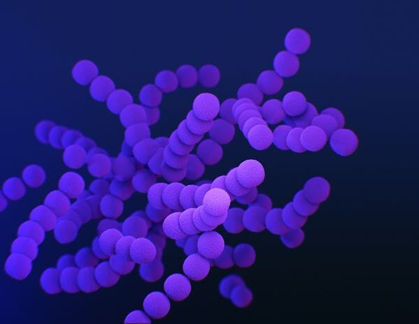 Les probiotiques : alliés insoupçonnés dans la lutte contre l'acné