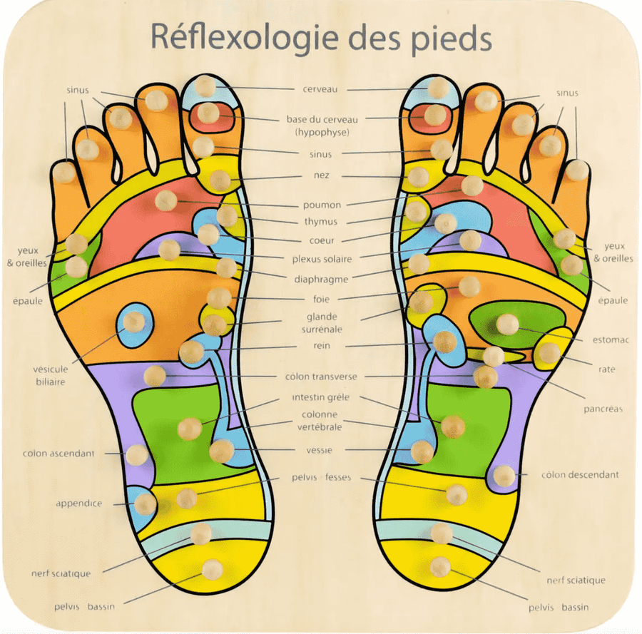 reflexologie